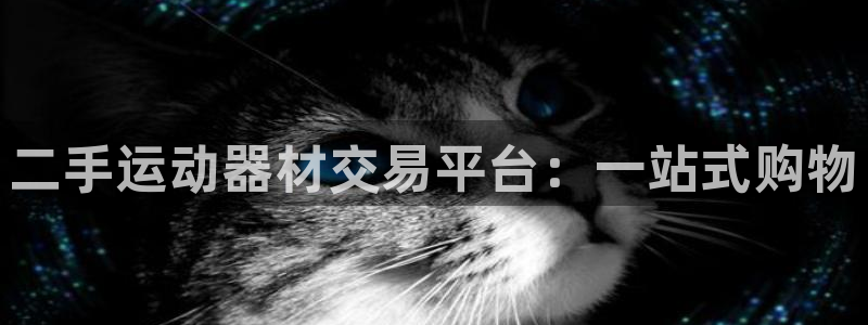 熊猫体育官网下载软件：二手运动器材交易平台：一站式购物
