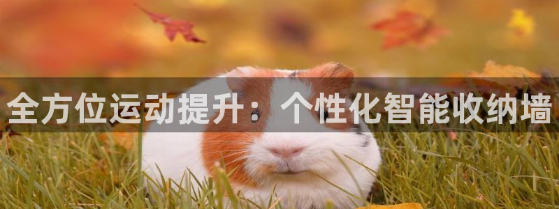 熊猫体育集团E.ON：全方位运动提升：个性化智能收纳墙