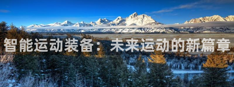 海南熊猫体育官网下载发展怎么样：智能运动装备：未来运
