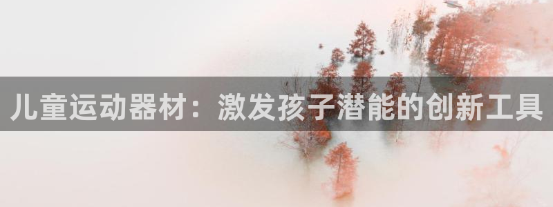 熊猫体育集团官网首页：儿童运动器材：激发孩子潜能的创新工具