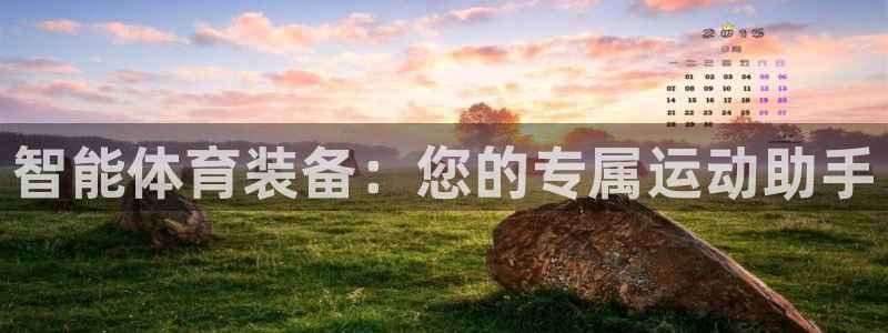 熊猫体育集团简介：智能体育装备：您的专属运动助手